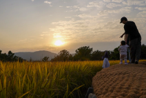 선선한 가을, ‘제22회 이천 쌀 문화축제’ 성황리에 마무리